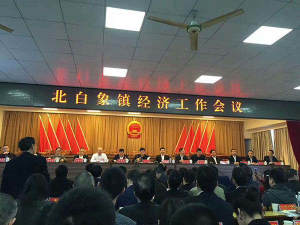 温州合力2016年明星企业，科技创新先进单位.jpg